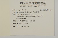 雷公藤藏品圖，第2張