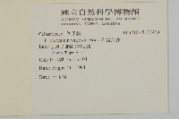雷公藤藏品圖，第2張