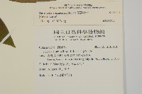 佩羅特木藏品圖，第2張