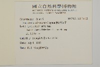 佩羅特木藏品圖，第2張