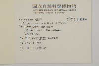 佩羅特木藏品圖，第2張