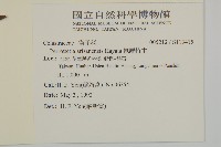 佩羅特木藏品圖，第2張