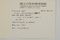 佩羅特木藏品圖，第2張