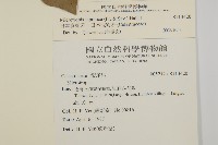 日本賽衛矛、日本假衛矛藏品圖，第2張