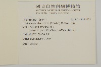 北仲, 刺裸實藏品圖，第2張