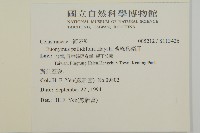 淡綠葉衛矛藏品圖，第2張