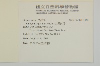 刺果衛矛藏品圖，第2張