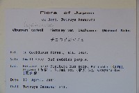 登錄號:S113431藏品圖，第2張