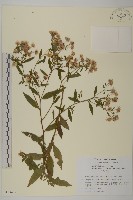 登錄號:S113437藏品圖，第1張