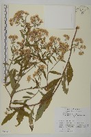 登錄號:S113438藏品圖，第1張