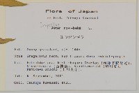 友禪花藏品圖，第2張