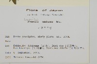 庵蒿藏品圖，第2張