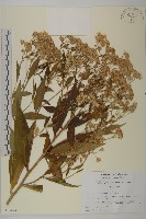 登錄號:S113444藏品圖，第1張