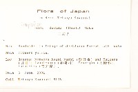 齒緣苦實藏品圖，第2張