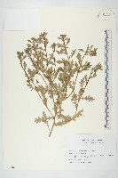 登錄號:S113461藏品圖，第1張