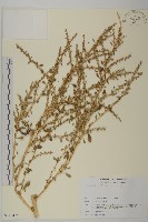 登錄號:S113475藏品圖，第1張