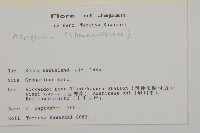 登錄號:S113476藏品圖，第2張