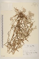 登錄號:S113479藏品圖，第1張