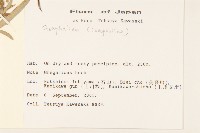 登錄號:S113479藏品圖，第2張