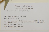 登錄號:S113480藏品圖，第2張