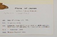 登錄號:S113481藏品圖，第2張