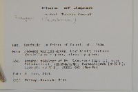 登錄號:S113484藏品圖，第2張