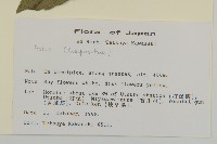 登錄號:S113488藏品圖，第2張