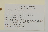 登錄號:S113491藏品圖，第2張