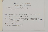 登錄號:S113492藏品圖，第2張