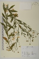 登錄號:S113498藏品圖，第1張