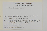 登錄號:S113502藏品圖，第2張