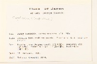 登錄號:S113503藏品圖，第2張