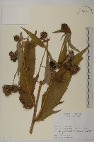 登錄號:S113506藏品圖，第1張