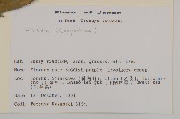 登錄號:S113506藏品圖，第2張