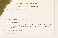 登錄號:S113507藏品圖，第2張