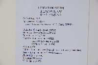 蘭嶼絡石藏品圖，第2張