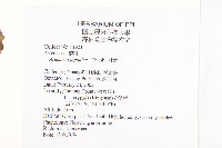 牡蒿藏品圖，第2張