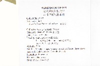 金腰箭藏品圖，第2張