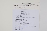 爵床藏品圖，第2張