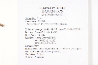 紅葉藤藏品圖，第2張