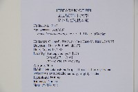 蘭嶼絡石藏品圖，第2張