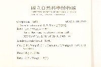 台東黃菀藏品圖，第2張