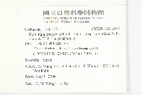 臺灣青莢葉藏品圖，第2張