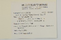 亞毛無心菜藏品圖，第2張