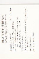 小葉胡頹子藏品圖，第2張