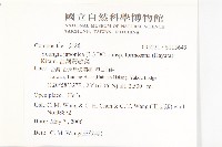 台灣黃鵪菜藏品圖，第2張