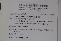 紅子莢迷藏品圖，第2張