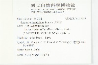 花蓼藏品圖，第2張