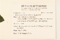 島田氏澤蘭藏品圖，第2張