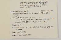 天蓬草藏品圖，第2張